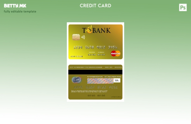 Модерен стил на шаблон за мастер картички на банката Бутан Т